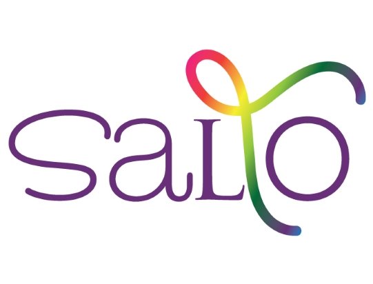 SALTO, primary schools in Eindhoven